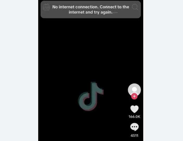 TikTok No Network Connection
