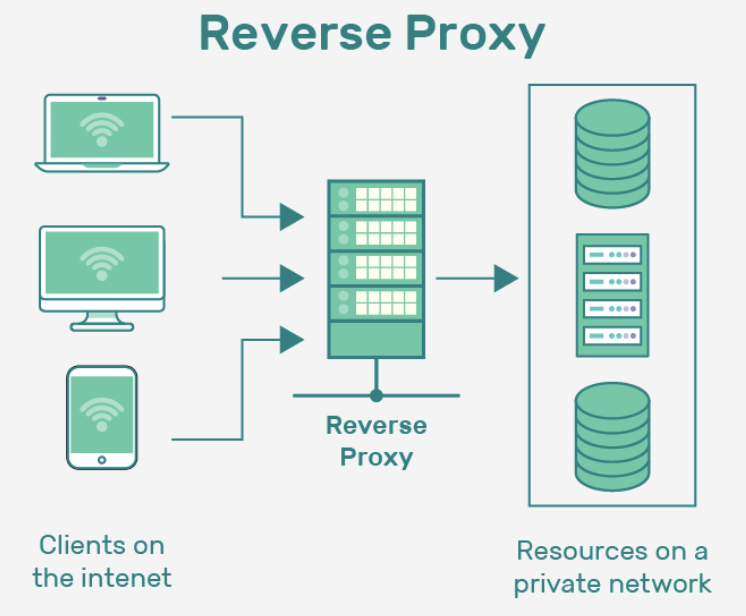 Reverse Proxy